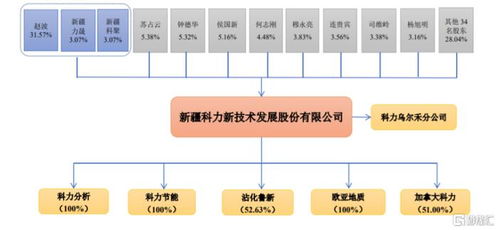 科力股份北交所上會(huì) 技術(shù)服務(wù)行業(yè)機(jī)遇與挑戰(zhàn)并存